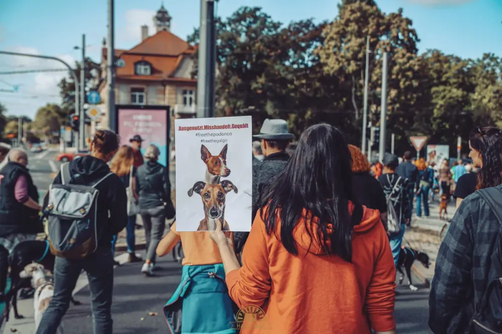 Eine Person die ein Plakat hochhält - darauf steht: Ausgenutzt, misshandelt, gequält