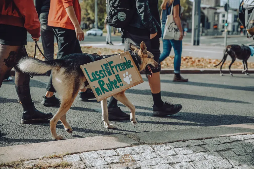 Ein Hund mit einem Plakat - darauf steht: Lass meinte Freunde in Ruhe!