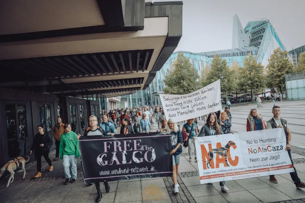 Eine Menschenmenge die mehrere Plakate hochhält.