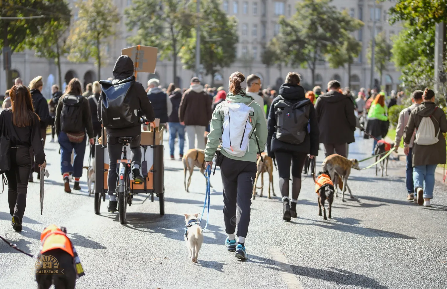 Eine Menschenmenge von hinten mit mehreren Hunden