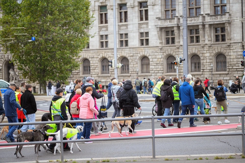 Eine Menschenmenge von hinten auf einer Straße