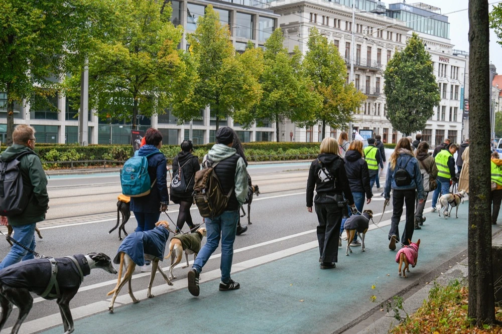 Eine Menschenmenge von hinten auf einer Straße